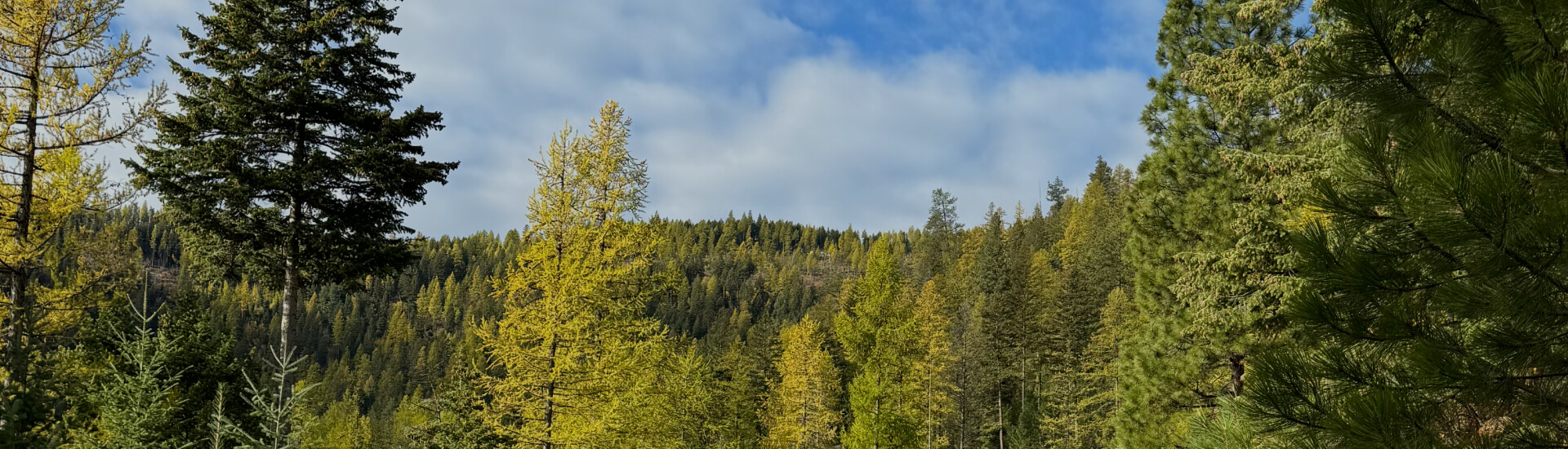 Our Origin Story Banner